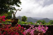 vue depuis terrasse