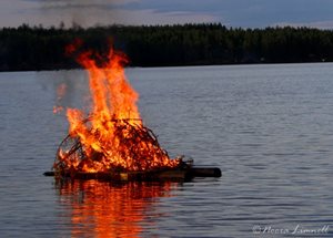kokko