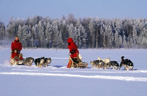 Huskysleigh%20tour