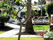 VB-NEW-GARDENS-5