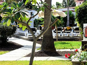 VB-NEW-GARDENS-5