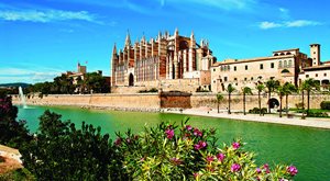 day7palma