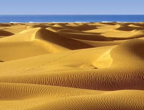 [Voyages]Les îles Canaries Photo